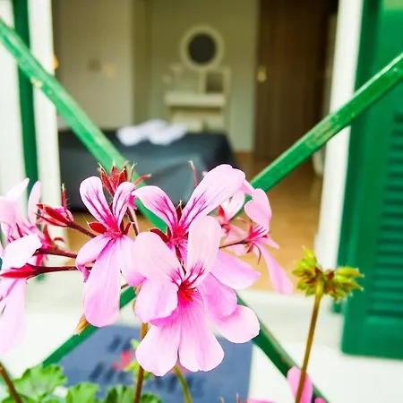 Swanky In Corfu *